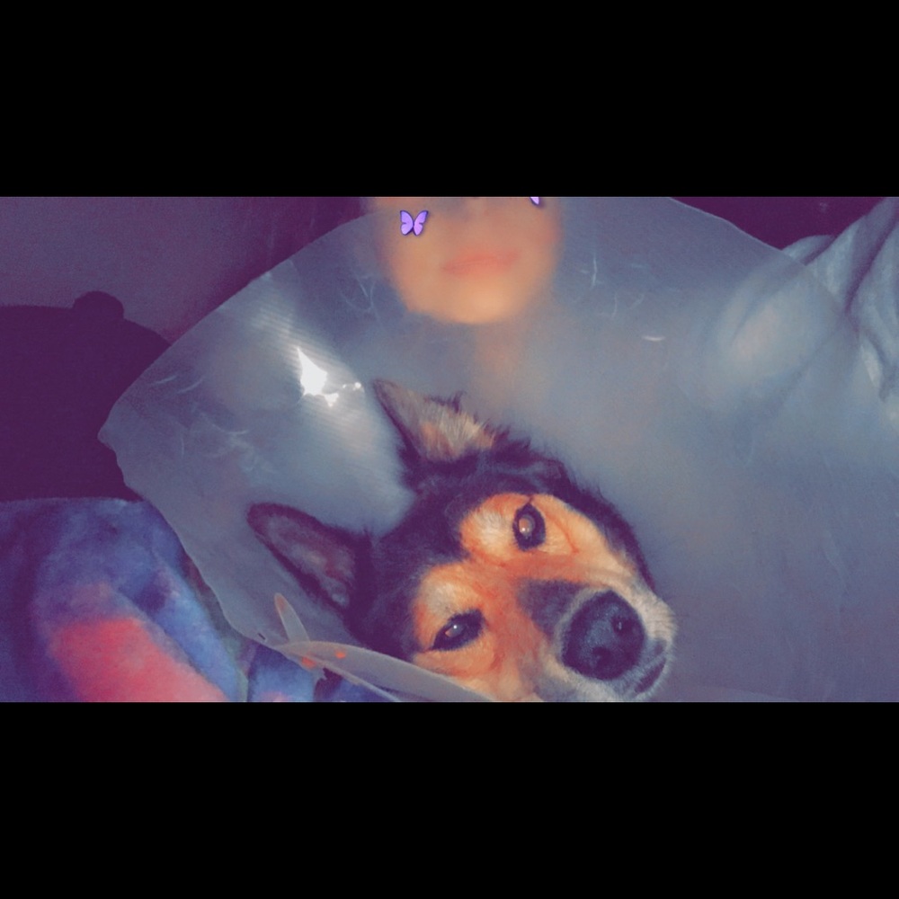 Meet your Posher, Makayla